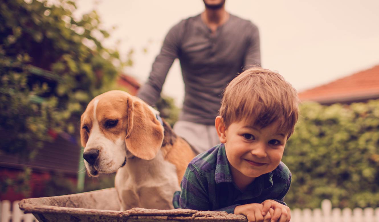 Little boy with his dad and dog.